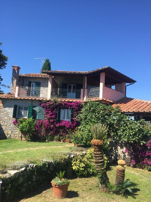 B&B Le Palme Ameglia Eksteriør bilde